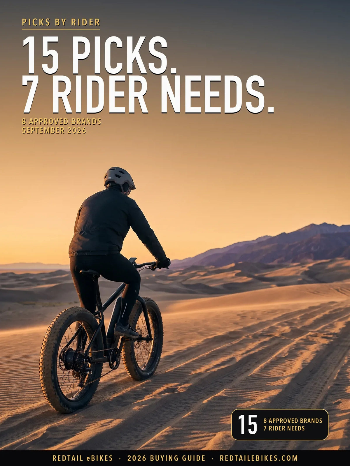 Fat-tire electric bike stopped on packed sand at first light, seen from behind