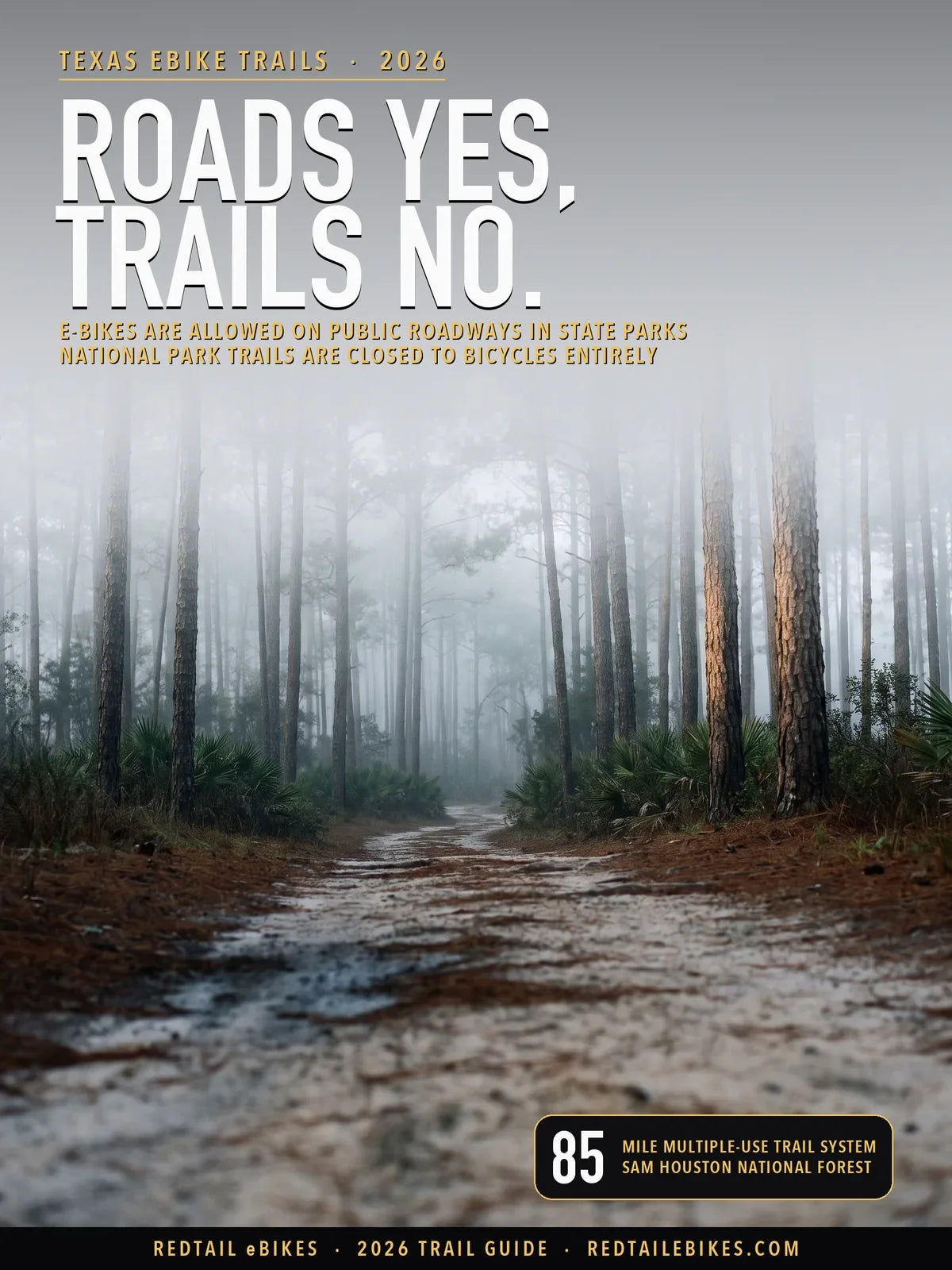 Texas e-bike trails 2026 cover: roads yes, trails no, e-bikes allowed on public roadways in state parks, over a foggy sand trail in Sam Houston National Forest