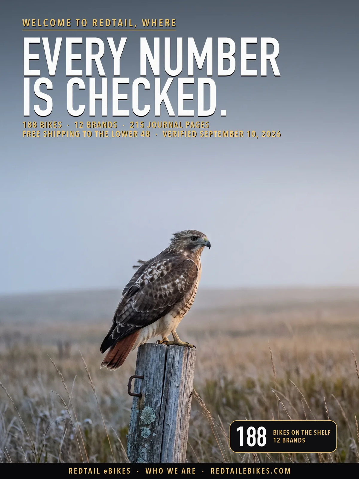 Welcome to Redtail eBikes: a red-tailed hawk perched on a weathered fence post over open grassland at dawn