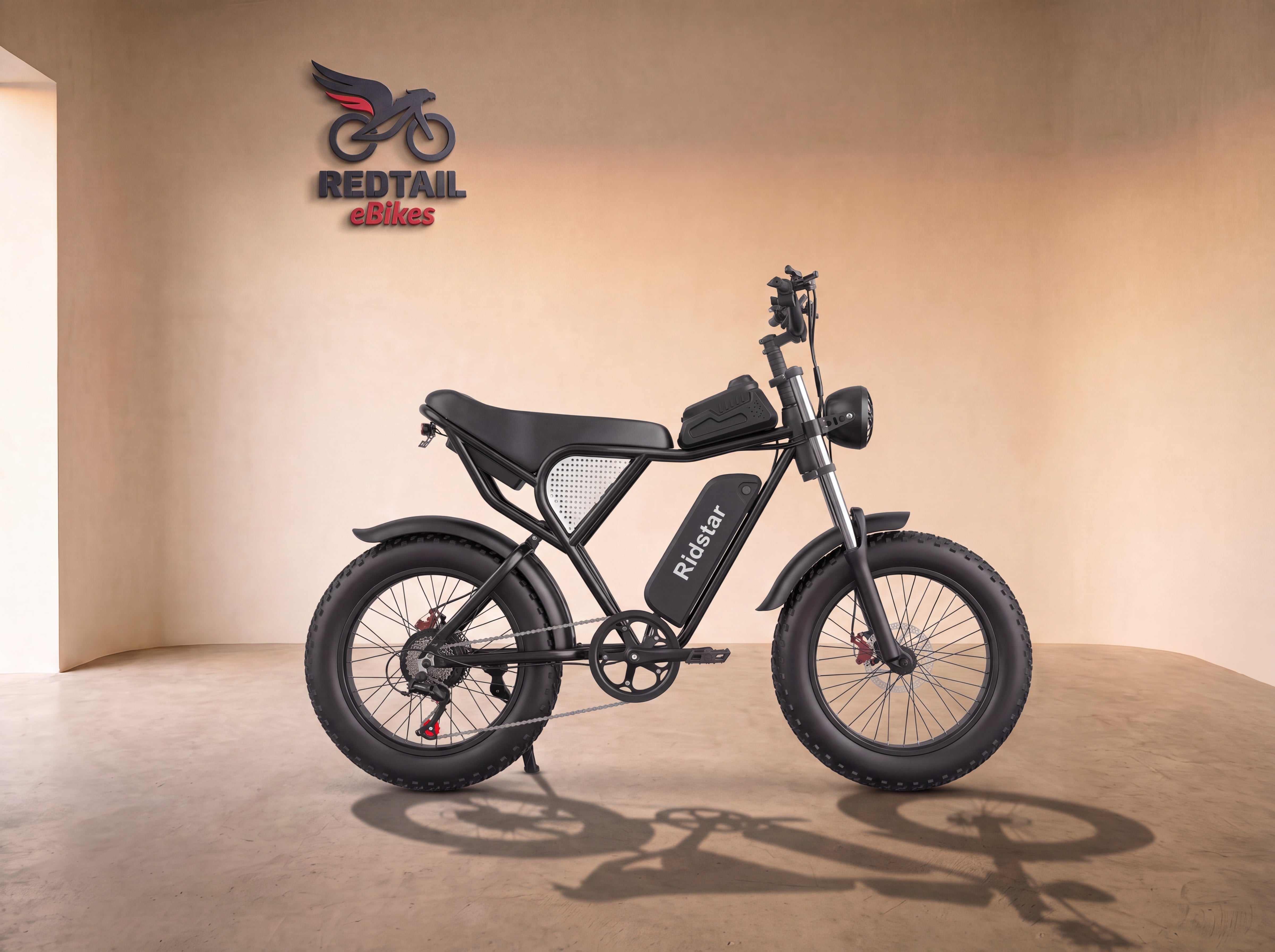 Ridstar® Q30 2000W 48V 25AH Fat Tire Ebike