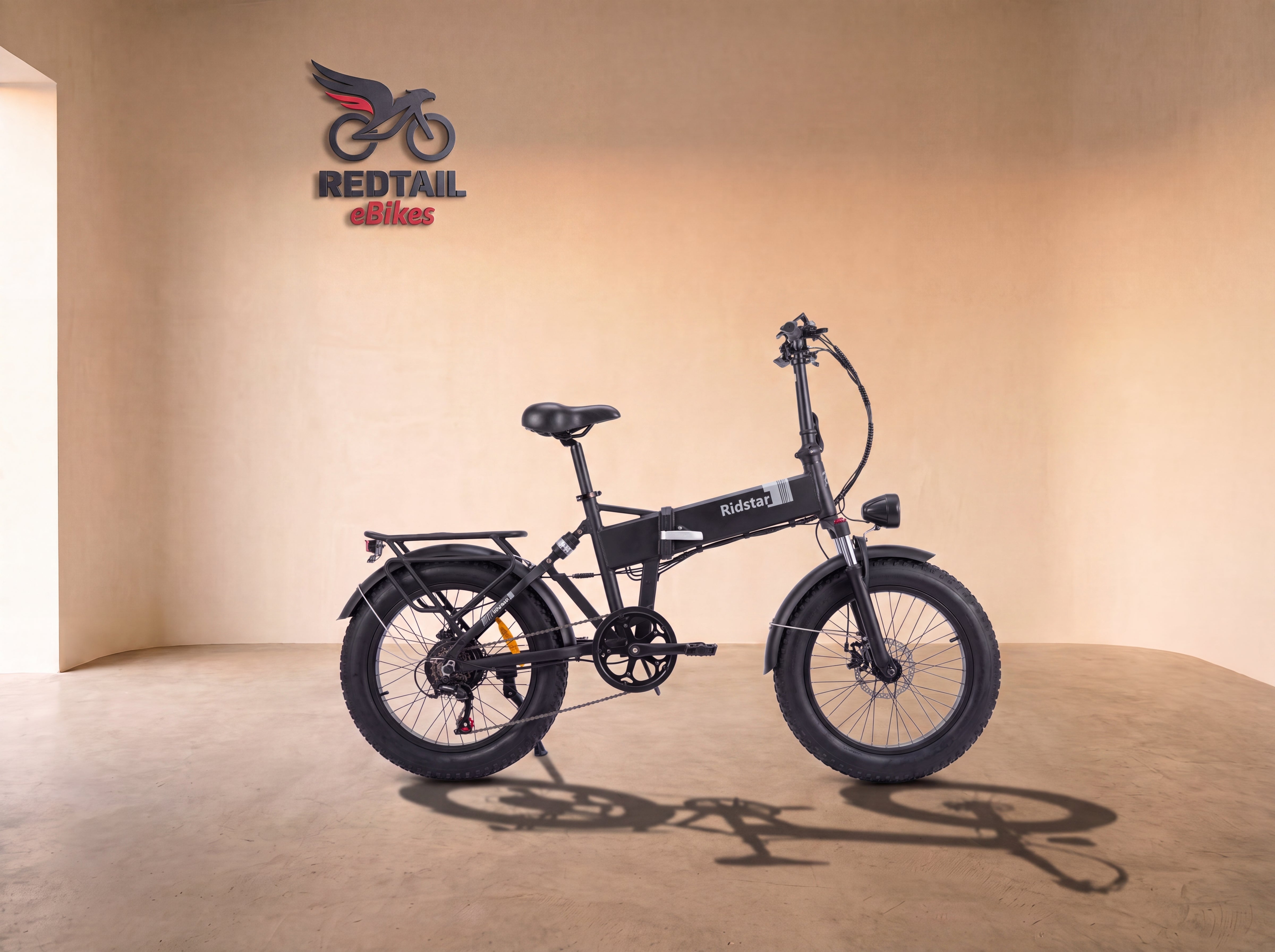 Ridstar® H20 1000W Electric Mountain Bike