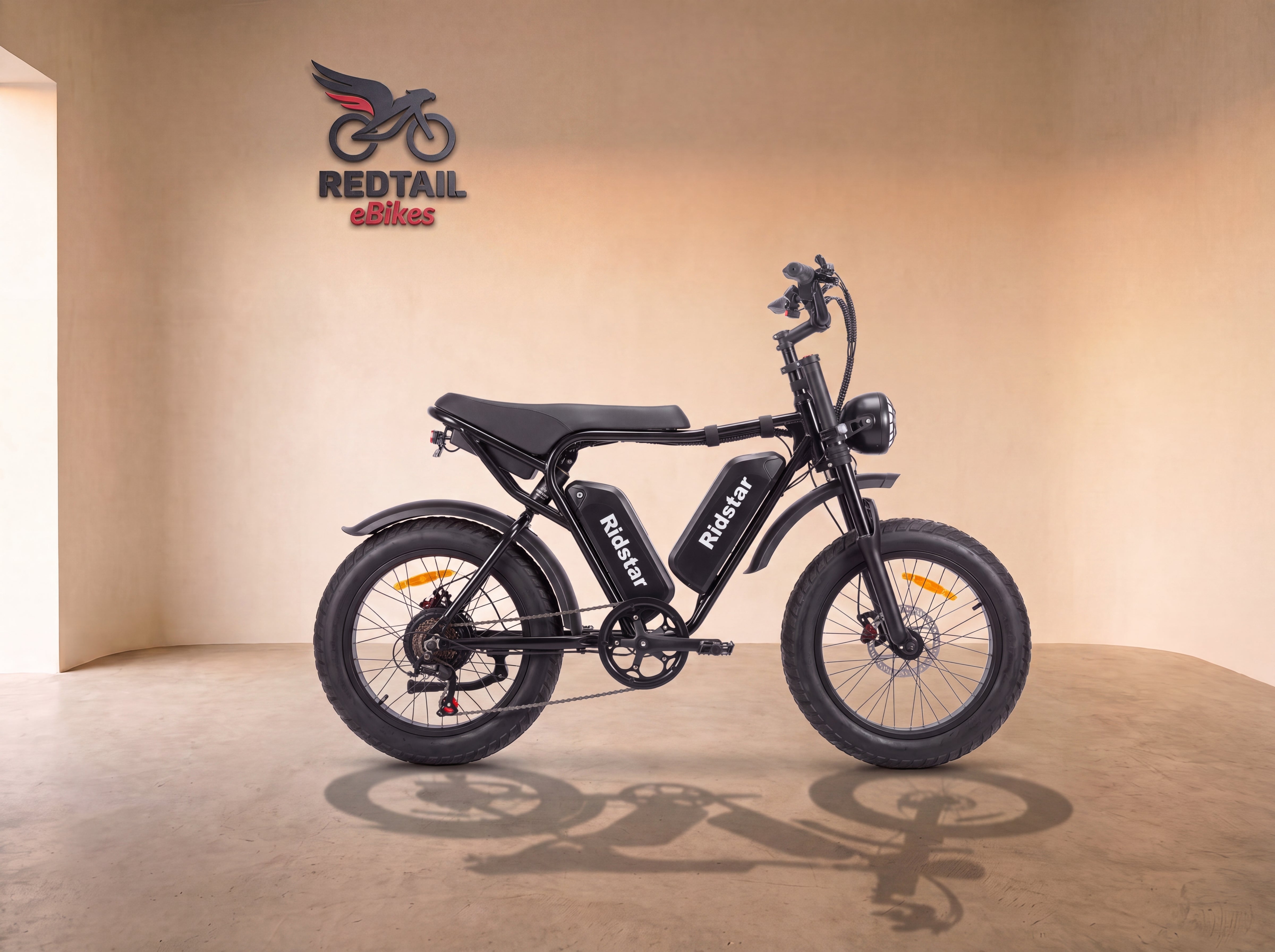 Ridstar® Q20Pro 2000W Fat Tire Ebike