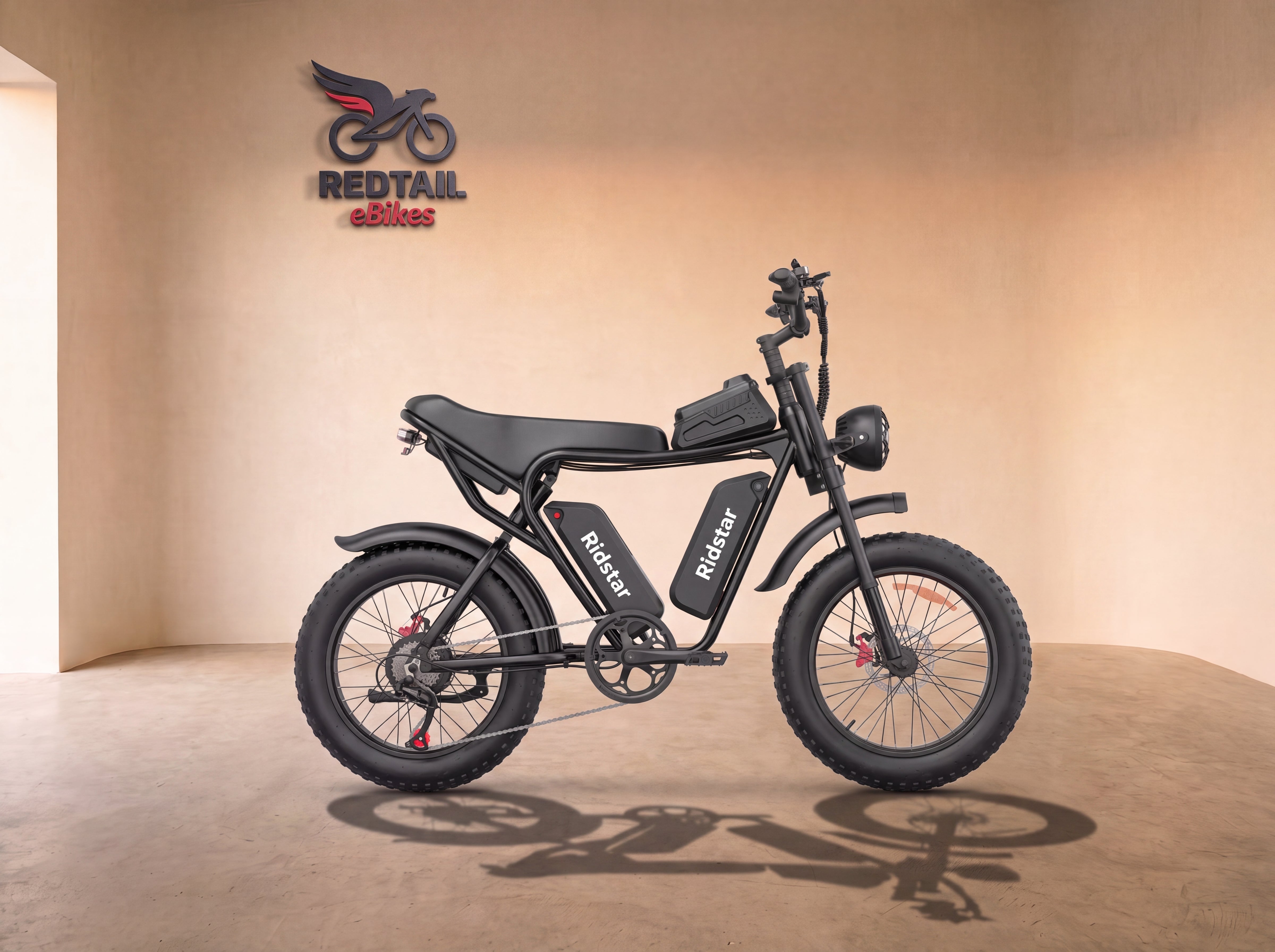 Ridstar® Q30Pro 3000W Fat Tire Ebike