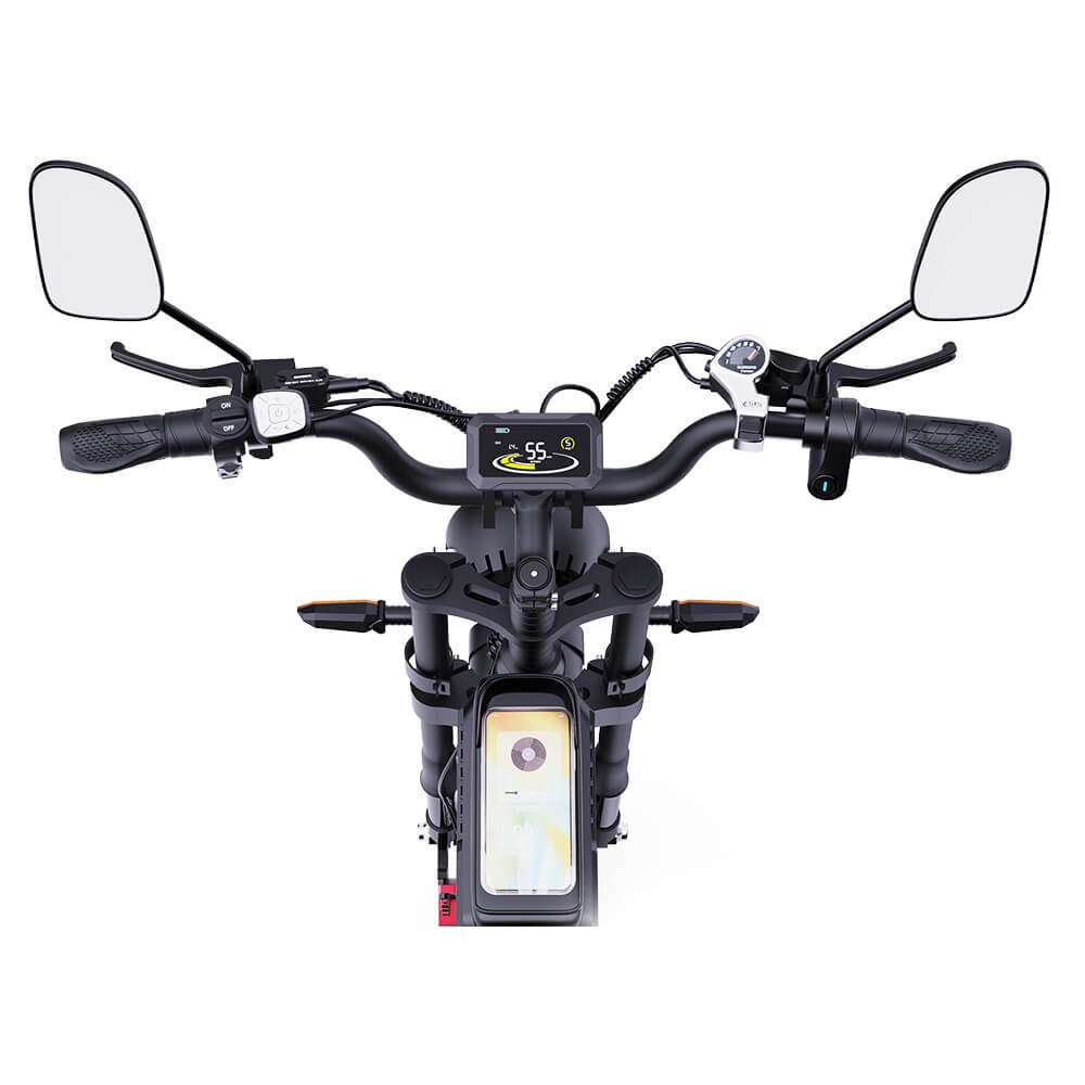 Ridstar® Q20Pro 2000W Fat Tire Ebike