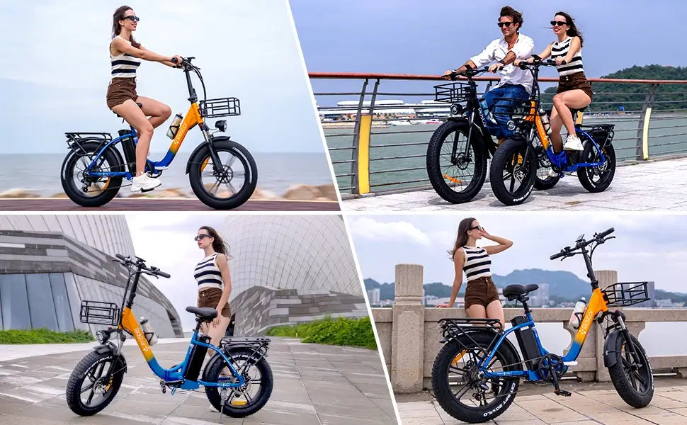 Ridstar MN20 1000W Fat Tire Folding Electric Bikes