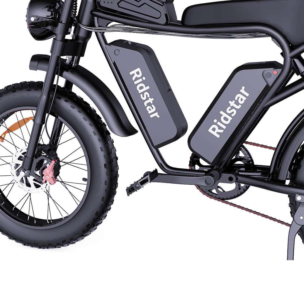 Ridstar® Q20Pro 2000W Fat Tire Ebike