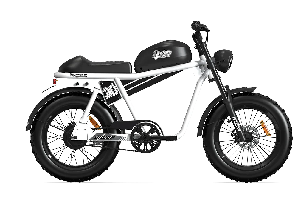 TIGER RL Electric Cruiser Bike