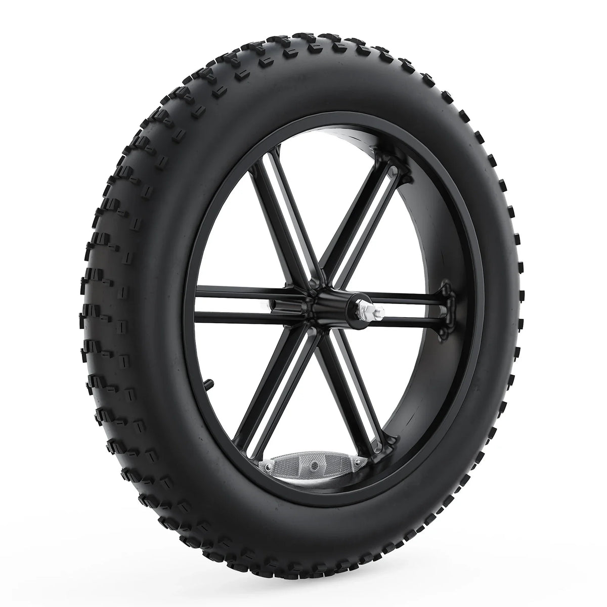Tesway Complete Front Wheel