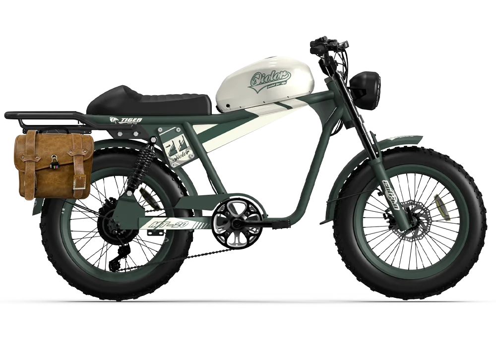 TIGER RE Retro Electric Bike