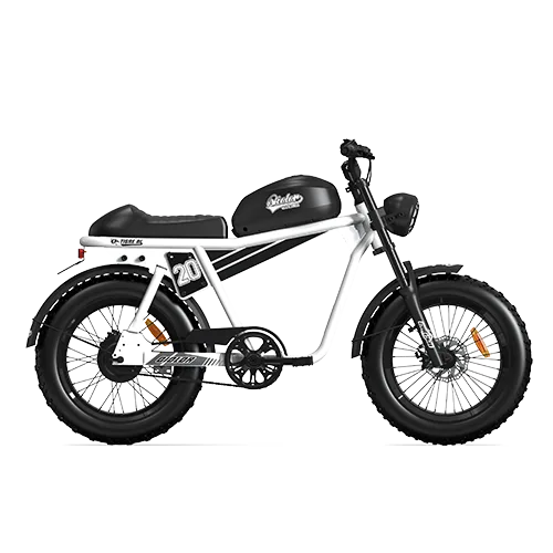 TIGER RL Electric Cruiser Bike