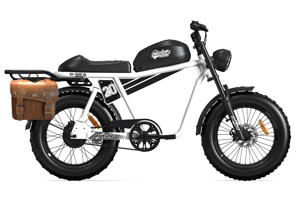 TIGER RL Electric Cruiser Bike