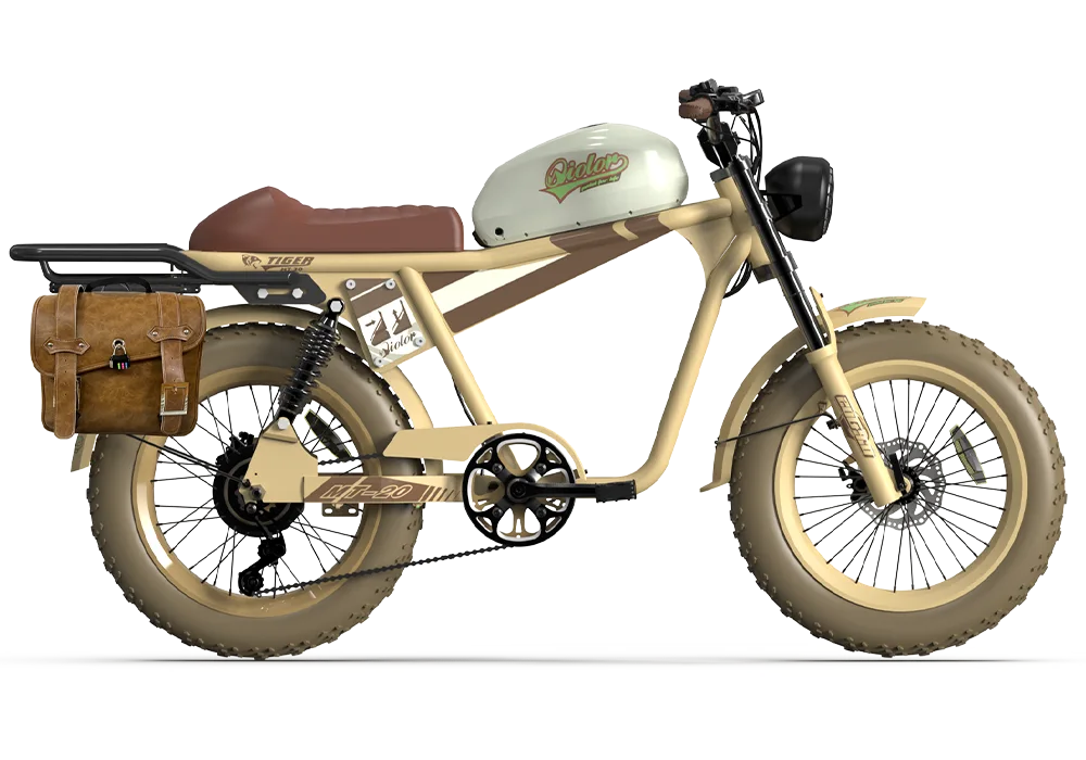 TIGER RE Retro Electric Bike