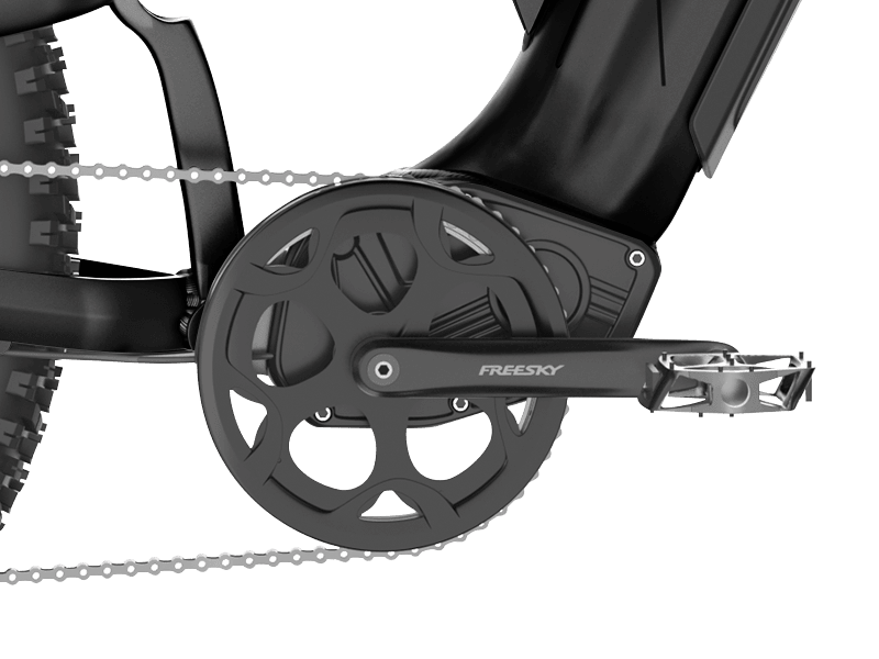 Freesky Crank Set