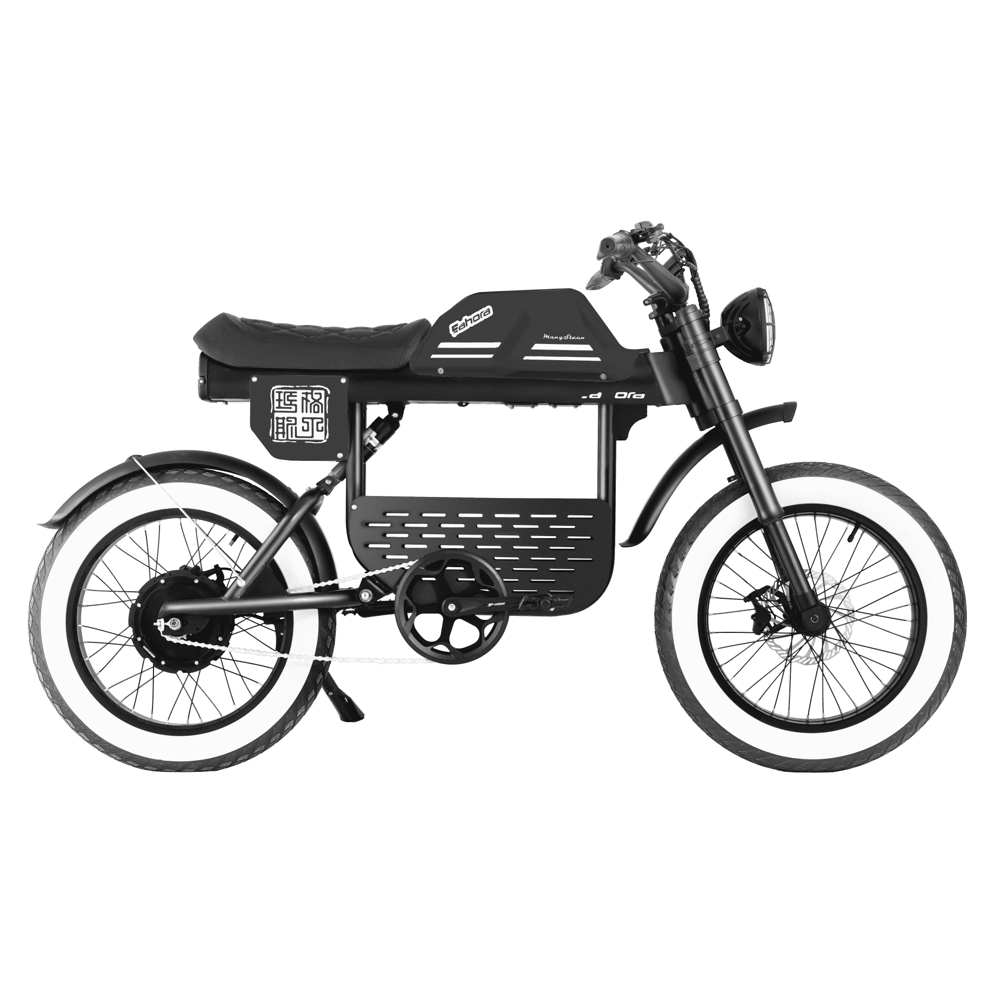Eahora FT-01 Max Moped-Style eBike – gallery
