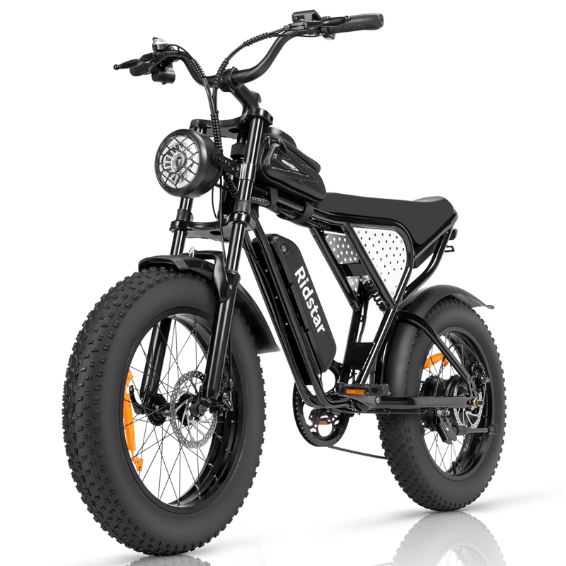 Ridstar® Q20Luxe Lite 1000W Fat Tire Ebike