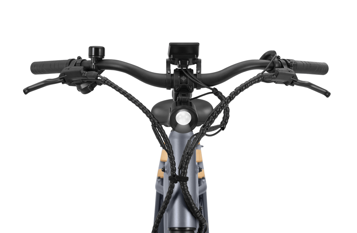 Velotric Packer 1