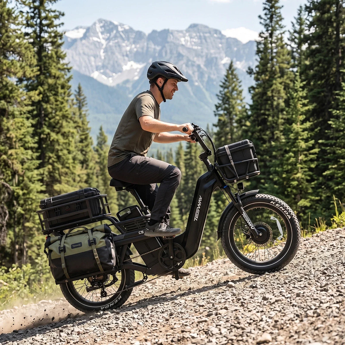 Tesway C5 AWD Longtail Cargo Electric Bike, Dual Motor, 450 lb Payload