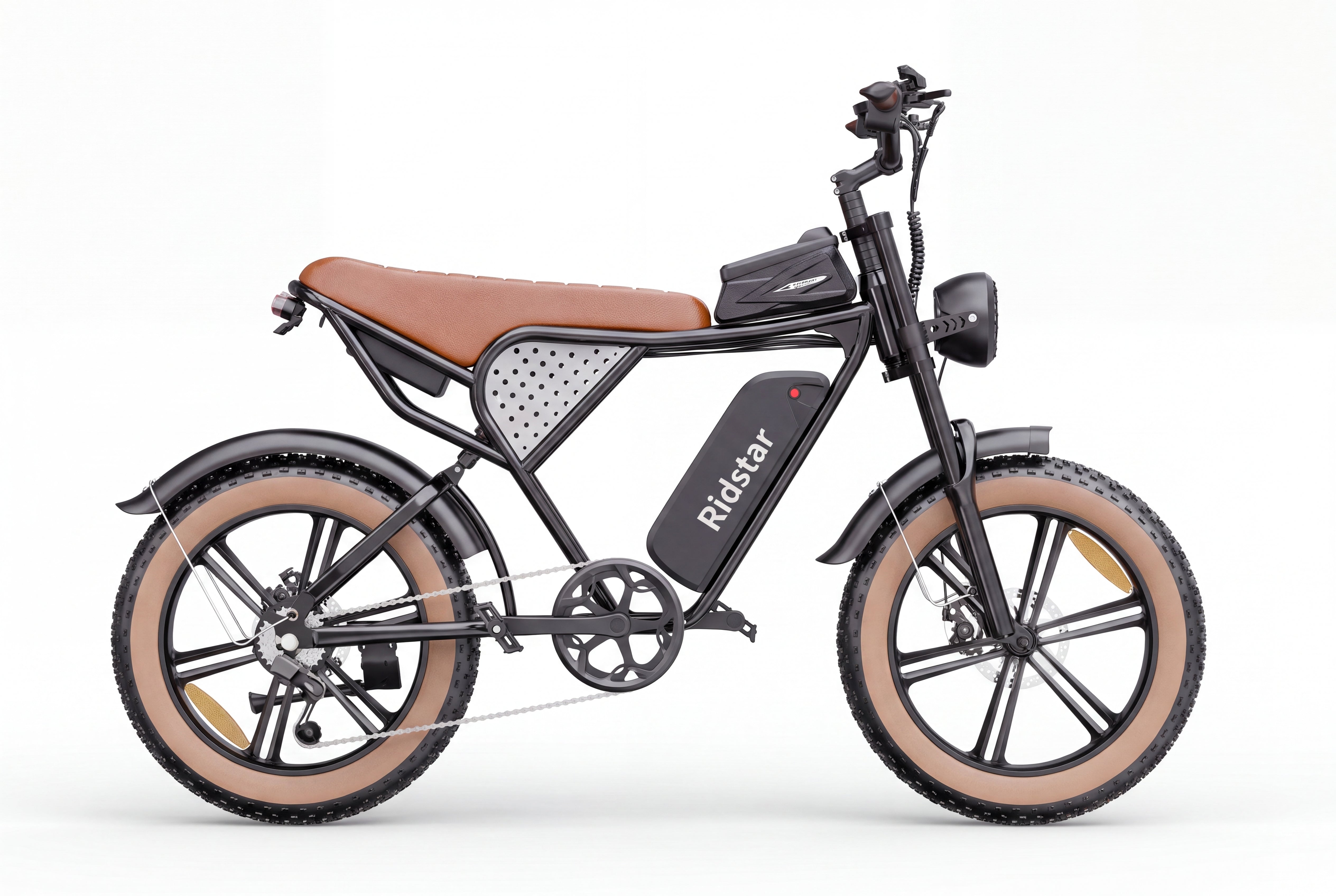 Ridstar® Q20Luxe Lite 1000W Fat Tire Ebike