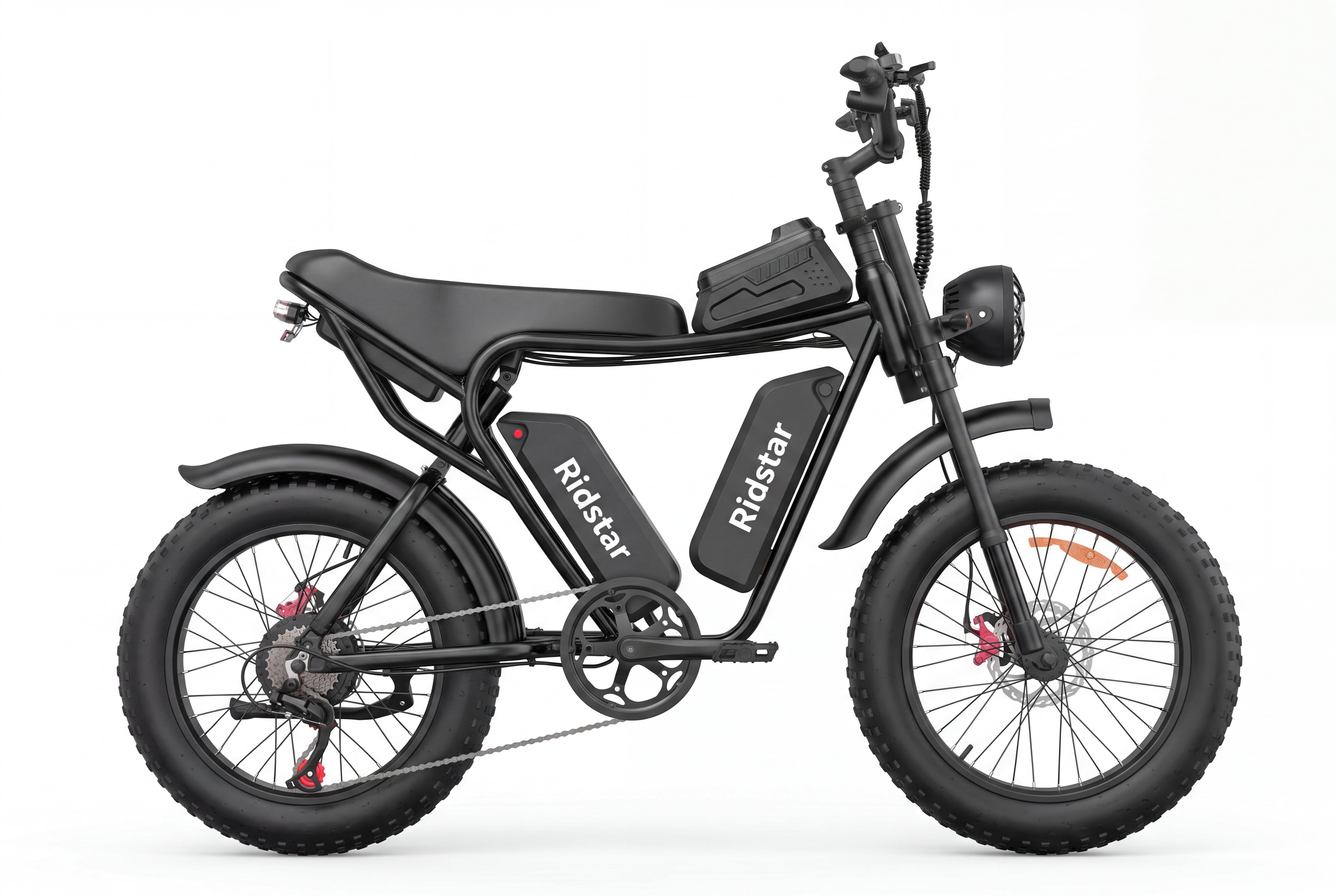 Ridstar® Q30Pro 3000W Fat Tire Ebike