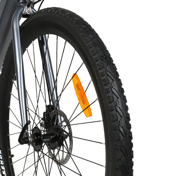 Samebike XWP10