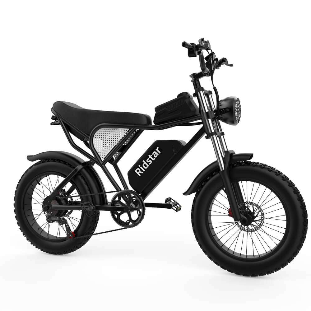 Ridstar® Q20Luxe 1500W 48V 20Ah Battery 20''Fat Tire Mountain Electric Bike for Adult