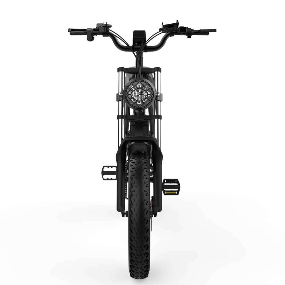 Ridstar® Q20Luxe 1500W 48V 20Ah Battery 20''Fat Tire Mountain Electric Bike for Adult