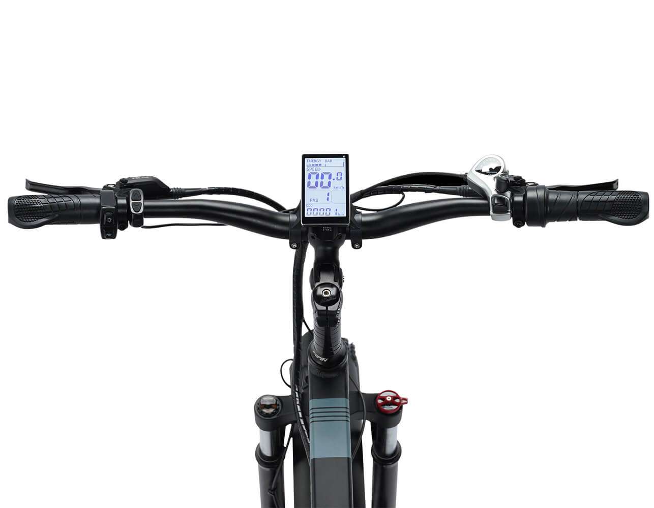 Ridstar® H20 1000W Electric Mountain Bike