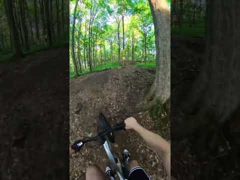 Load video: Velotric Summit 2