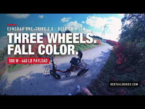 Load video: Eunorau ONE-TRIKE 2.0 Rear-Drive Electric Trike