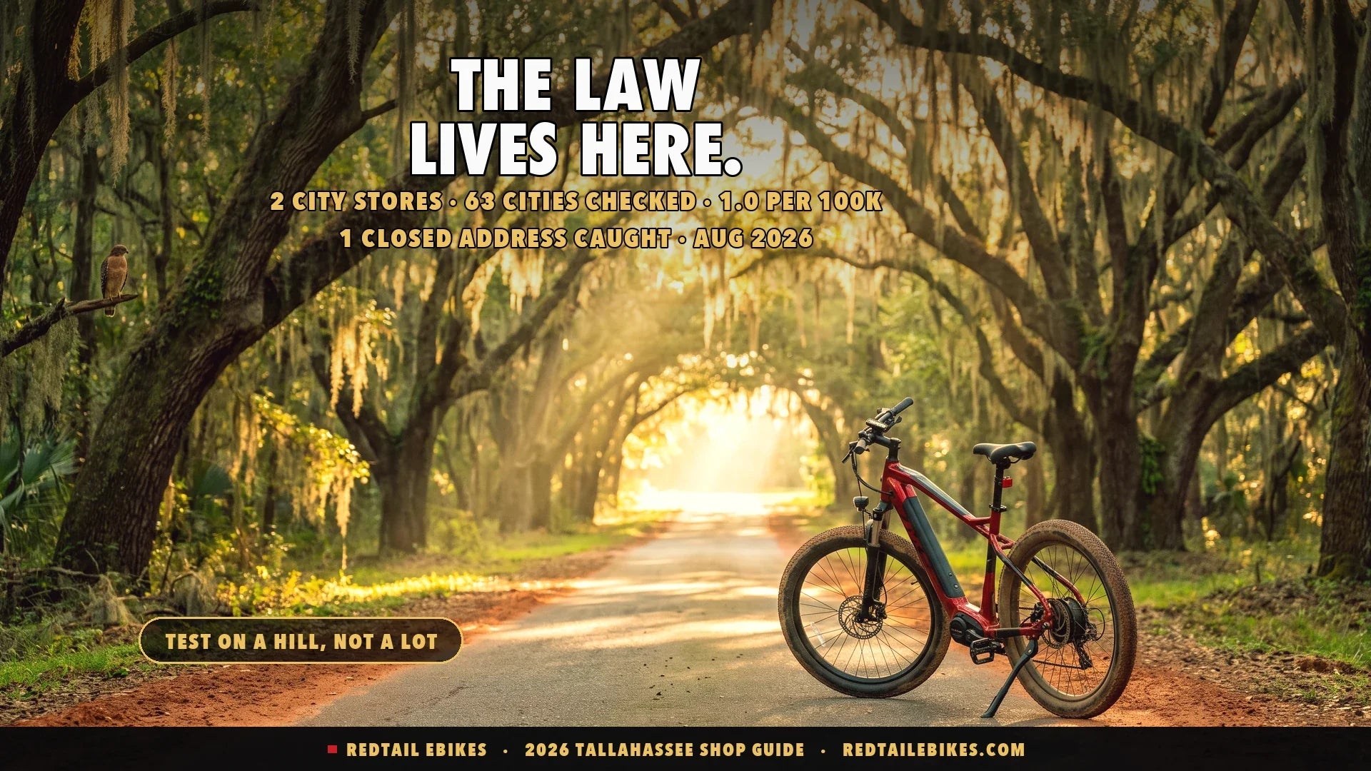 Electric bike on a Tallahassee canopy road under arching live oaks with Spanish moss at golden hour
