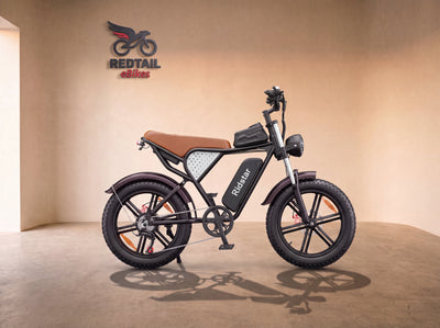 Ridstar® Q30Luxe 2000W Fat Tire Ebike