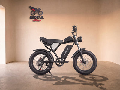 Ridstar® Q30 2000W 48V 20AH Fat Tire Ebike