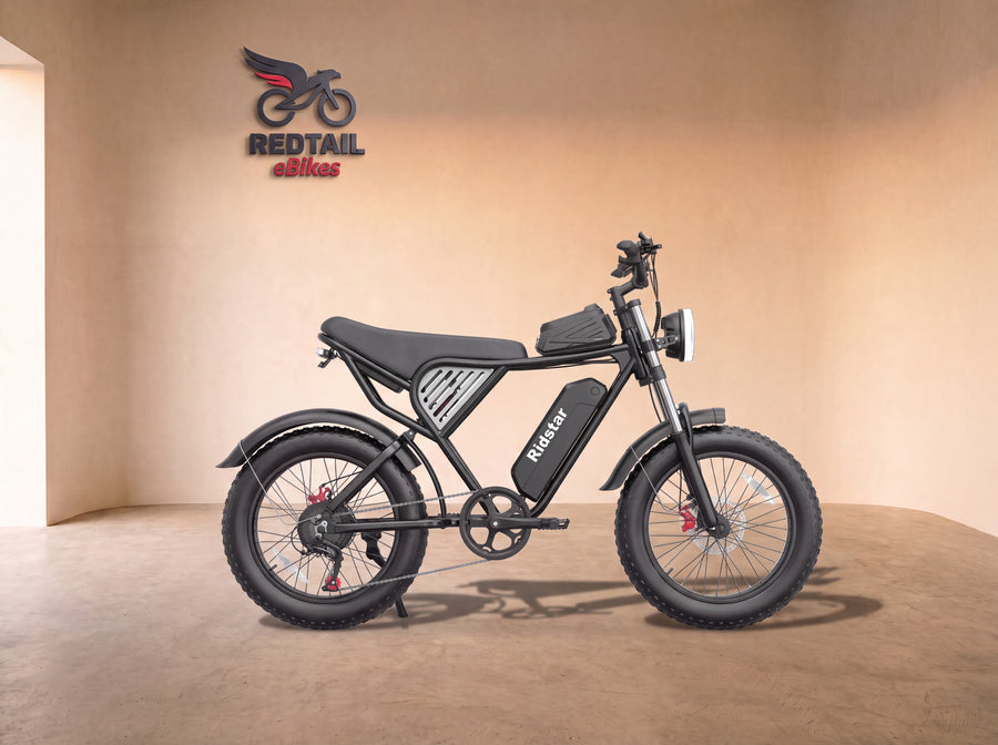 Fat Tire eBikes