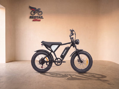 Ridstar® Q20 Lite 1000W Fat Tire Electric Motorcycles