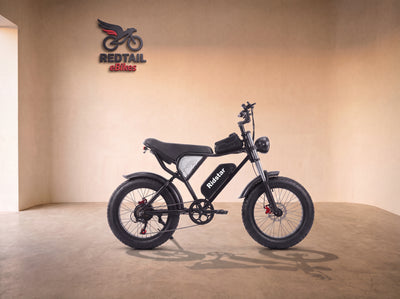 Ridstar® Q20 1500W Fat Tire Electric Mountain Motorcycles