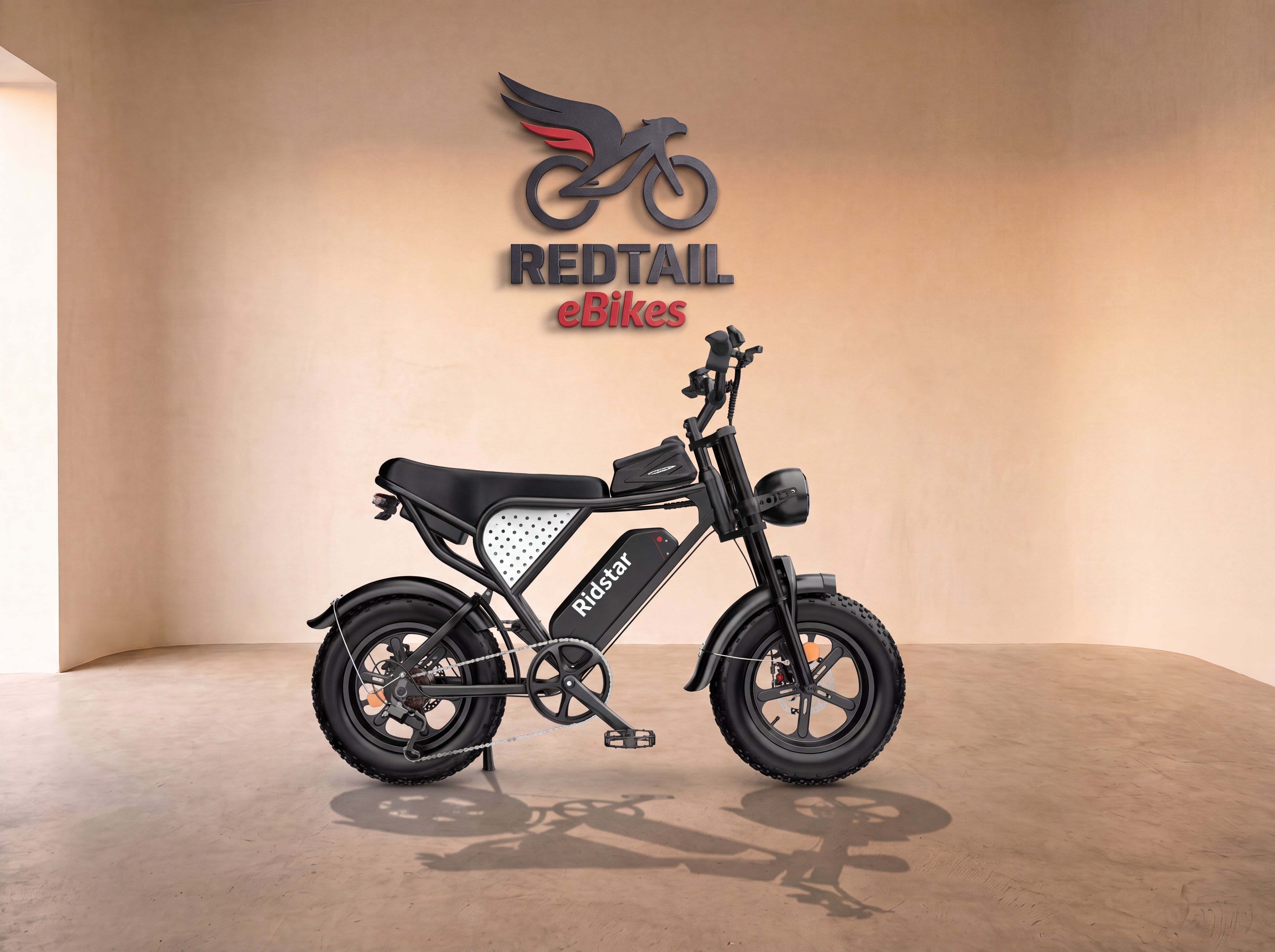 Ridstar® Q16 1500W Fat Tire Electric Bicycle