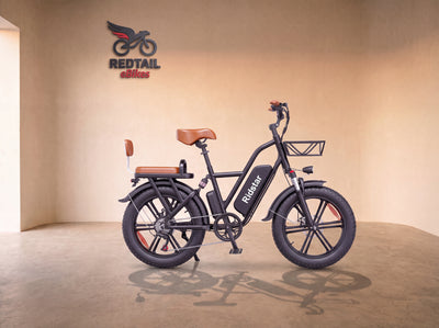 Ridstar® FM001 2-Seater Fat Tire Electric Bike