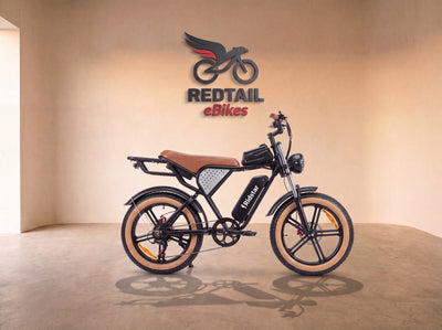 Ridstar® Q20Luxe 1500W 48V 20Ah Battery 20''Fat Tire Mountain Electric Bike for Adult