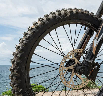 Tire & Inner Tube