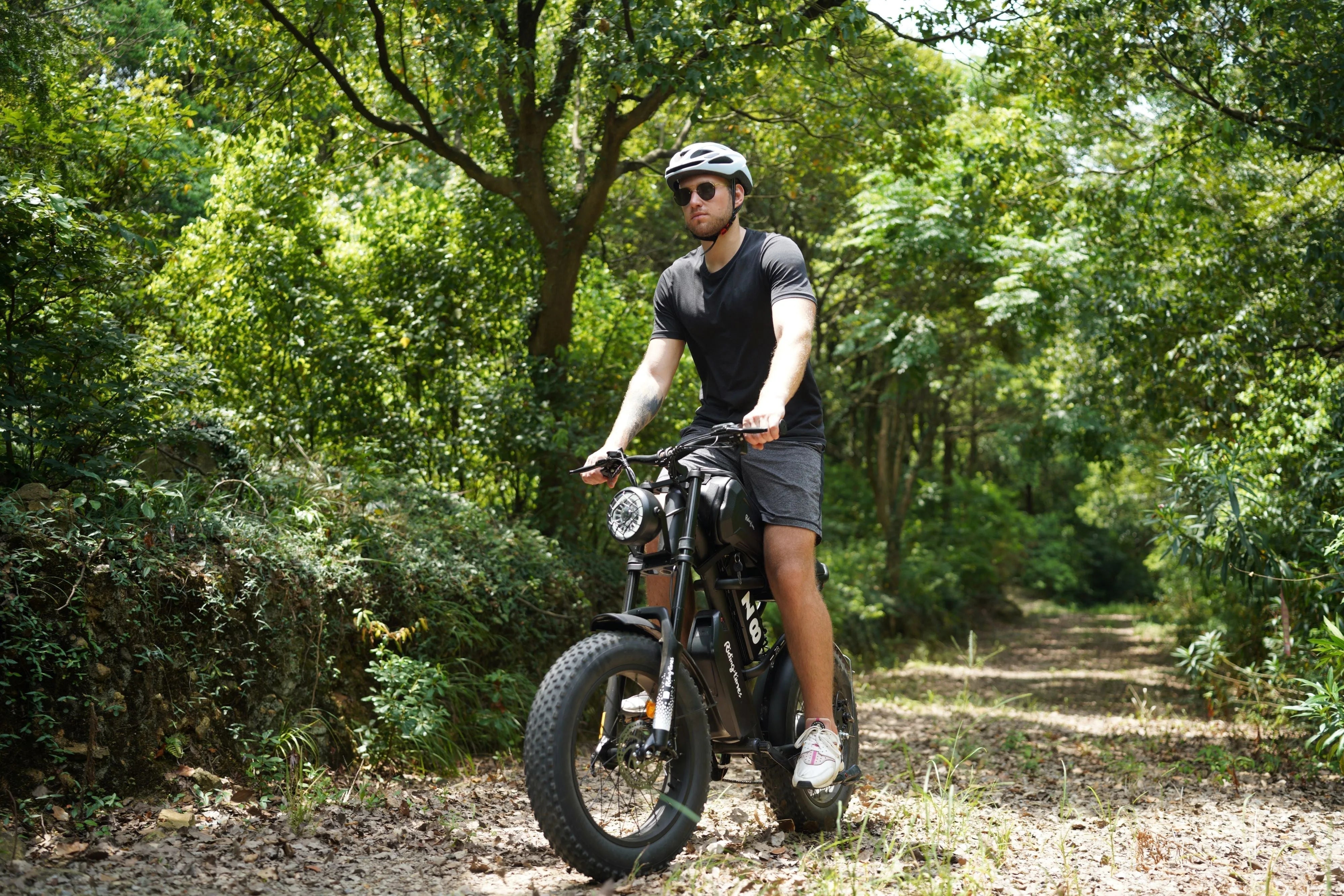 Z8 Pro Electric Bike