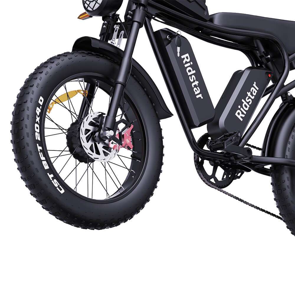 Ridstar® Q20Pro 2000W Fat Tire Ebike