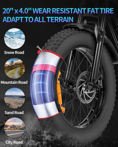 Ridstar® Q20Luxe Lite 1000W Fat Tire Ebike