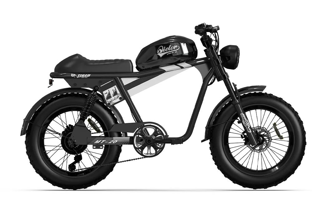 TIGER RE Retro Electric Bike
