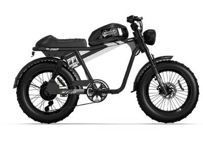 TIGER RE Retro Electric Bike