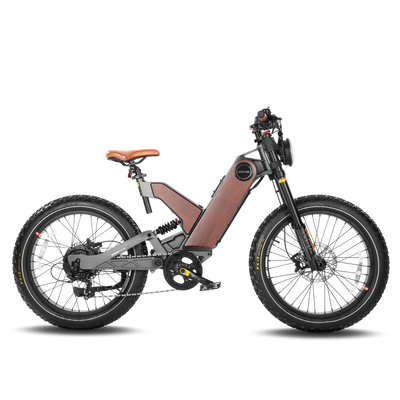Eahora P5 II 24-Inch Fat-Tire Electric Bike