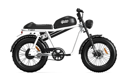 TIGER RL Electric Cruiser Bike