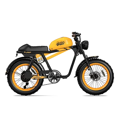 TIGER RE Retro Electric Bike