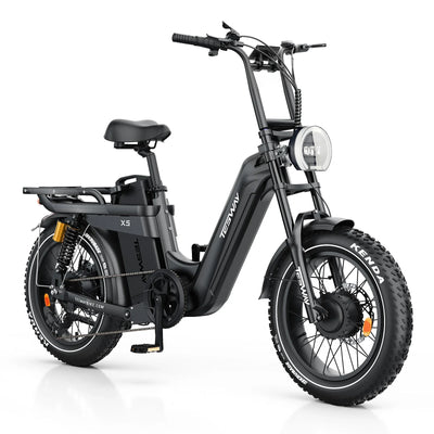 Tesway X5 AWD Step-Thru Dual-Motor Fat Tire Electric Bike, 52V 60Ah