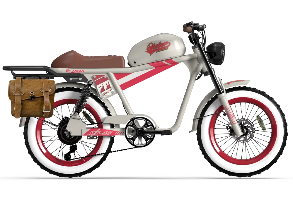 TIGER RE Retro Electric Bike