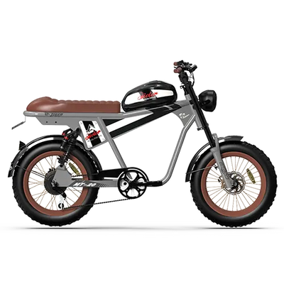 TIGER PLUS Electric Off Road Bike